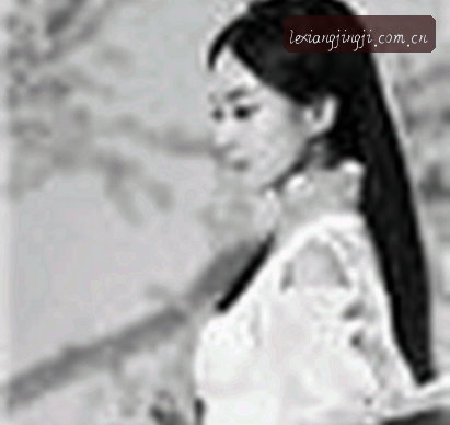 赵强